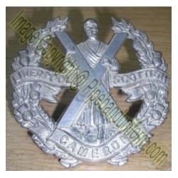 Metal / Brass Badge