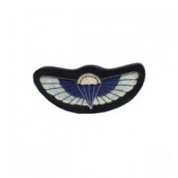 Wings Badge