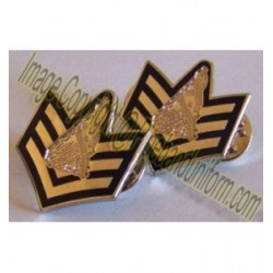 Metal / Brass Badge